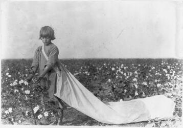 Last Child Labourers