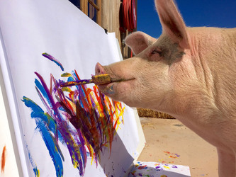 Pigcasso The Painting Pig