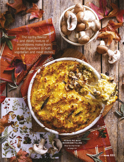 Marvellous mushrooms