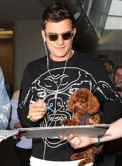 Orlando Bloom returned to Los Angeles carrying his puppy and signing autographs on his way to his waiting vehicle.
