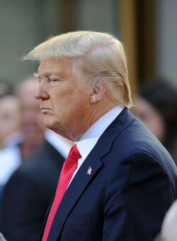 FILE PHOTOS Donald Trump Book They were in the back of the room when God handed out brains Trump doesn t think much of Don Jr. and Eric s intelligence according to Fire and Fury book