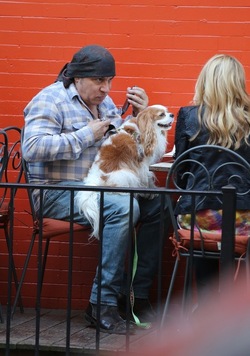Steven Van Zandt has lunch in the West Village With his Dog