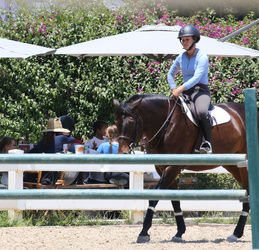 Nori West takes her puppy Sushi to the park to see horses Nori West takes her puppy Sushi to the park to see horses