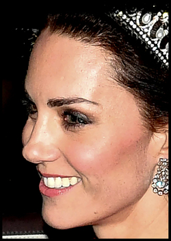 Diplomatic reception at Buckingham Palace Diplomatic reception at Buckingham Palace