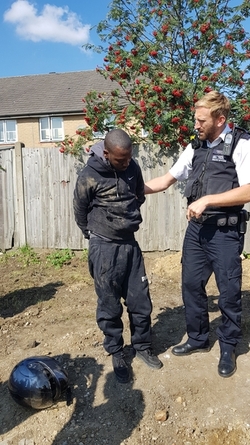 NINTCHDBPICT000349902598