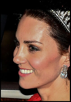 Diplomatic reception at Buckingham Palace Diplomatic reception at Buckingham Palace