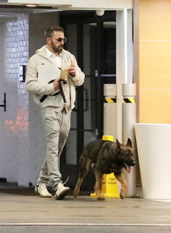 Ben Affleck Keeps Busy Amid House Hunt Arrives At Hollywood Office With Guard Dog Ben Affleck Keeps Busy Amid House Hunt Arrives At Hollywood Office With Guard Dog
