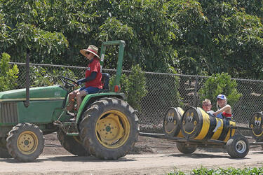 Gwen Stefani with Kids Enjoying the Day at a Farm