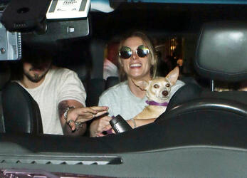 Ashley Greene and fiance take their dog on a plane