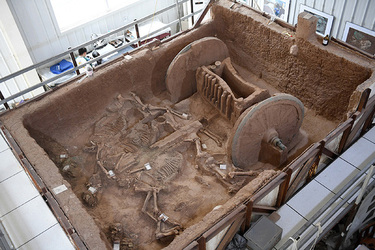 China Shows 1000 BC Bronze Chariot Buried with Horses