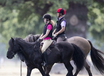 Prince Edward Rides Out With Lady Louise Windsor