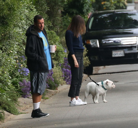 Adam Sandler walking his cute puppy Adam Sandler walking his cute puppy