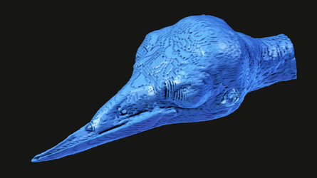 CROW GETS NEW BEAK
