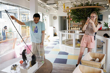 WORLDS FIRST CHINCHILLA CAFE