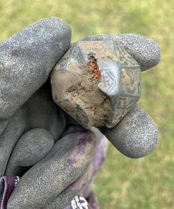 Stunned schoolboy finds part of 13th century sword with metal detector