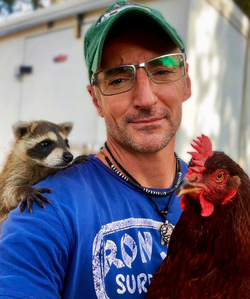 Chicken best friends with horse dog cat and even a racoon