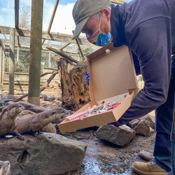 Otter gets surprise birthday cake at zoo