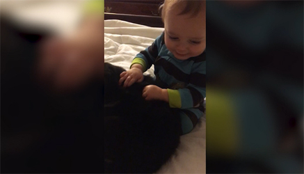 1 year Old Meets New Puppy