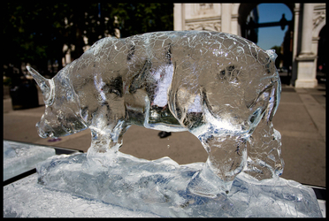 PETA Ice Sculptures