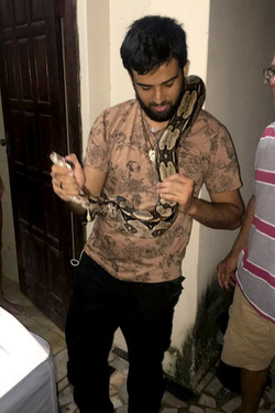 SLITHERING CYCLES 7FT SNAKE FOUND HIDING IN WASHING MACHINE