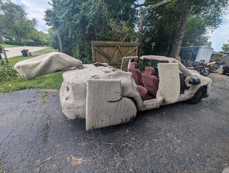 Dumb and Dumber Dog Buick for Sale