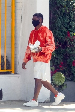 Usher Dominic Adams Greer Grammer Michael Rapaport and Nicolette Gray Seen Around West Hollywood