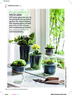 Start an indoor garden Start an indoor garden