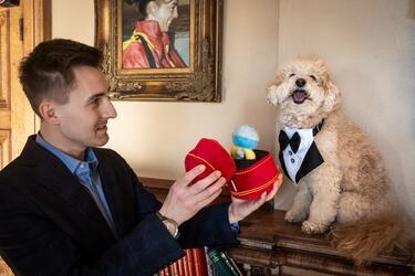 VIDEO Dogs tie the knot in plush wedding ceremony