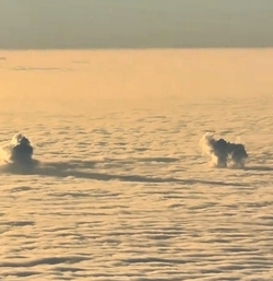 VIDEO Plane passenger spots DOG playing with ball in the clouds