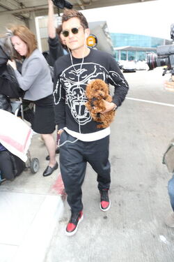 Orlando Bloom returned to Los Angeles carrying his puppy and signing autographs on his way to his waiting vehicle.