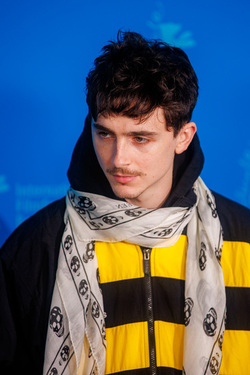Timothee Chalamet at the Photocall of the movie A Complete Unknown at the 75th Berlin Film Festival Berlinale