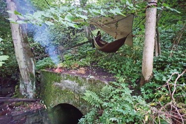 LUCKY DAD CAN ESCAPE INTO A FOREST IN HIS BACK GARDEN