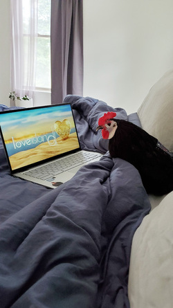 WHAT AN EGGCITING LIFE RESCUE CHICKENS SAVED FROM DEATH BY ANIMAL LOVER NOW LIVE LIKE PAMPERED PET DOGS IN LUXURY FARMHOUSE