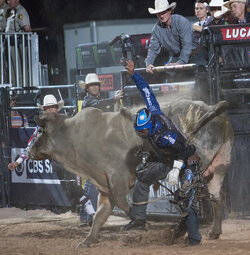 PBR s Last Cowboy Standing