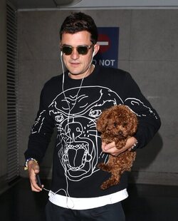 Orlando Bloom returned to Los Angeles carrying his puppy and signing autographs on his way to his waiting vehicle.