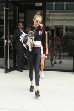 Gigi Hadid shows off her adorable French Bulldog and heads to the park