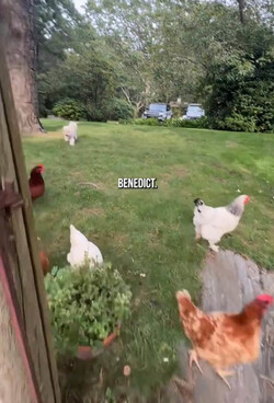 Christie Brinkley gave a tour of her 30 million Hamptons NY mansion to influencer Caleb Simpson.