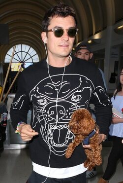 Orlando Bloom returned to Los Angeles carrying his puppy and signing autographs on his way to his waiting vehicle.