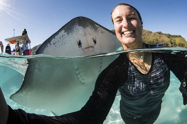 RAY TO GO HUGE STINGRAY LEAPS OUT OF WATER TO POSE FOR SENSATIONAL SELFIE WITH DELIGHTED DIVER