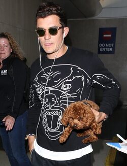 Orlando Bloom returned to Los Angeles carrying his puppy and signing autographs on his way to his waiting vehicle.