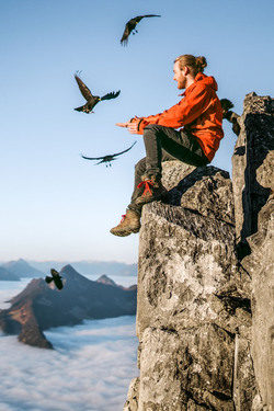 THE HUMAN BIRD TABLE...ON TOP OF A MOUNTAIN
