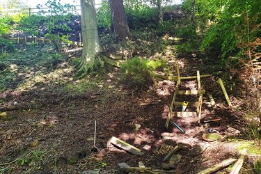 LUCKY DAD CAN ESCAPE INTO A FOREST IN HIS BACK GARDEN