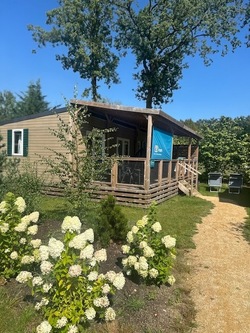 Family of seven spend less travelling 800 miles for week abroad than seven days caravaning on UK coast