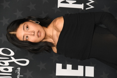 30th Annual Critics Choice Awards 30th Annual Critics Choice Awards