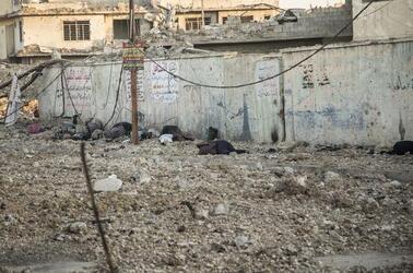 Battle of Mosul Battle of Mosul