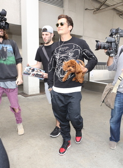 Orlando Bloom returned to Los Angeles carrying his puppy and signing autographs on his way to his waiting vehicle.