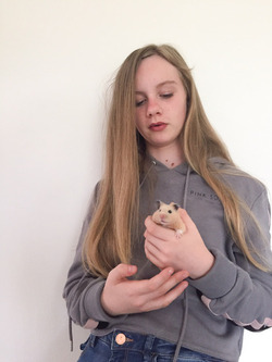 HOUDINI HAMSTER FAMILY PUT DOWN CRASH MAT FOR ESCAPOLOGIST PET WHO REPEATEDLY PLUNGES FROM CEILING