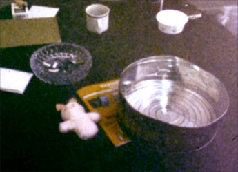 MUM AND HER TWO DAUGHTERS MURDERED BY ANGRY NEPHEW