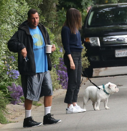 Adam Sandler walking his cute puppy Adam Sandler walking his cute puppy