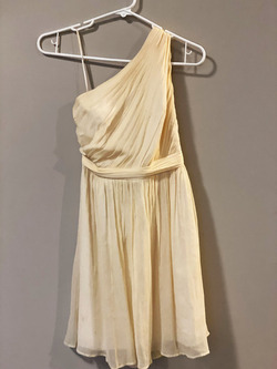 Serial Bridesmaid Dubbed Real Life 27 Dresses After Being A Bridesmaid 14 Times